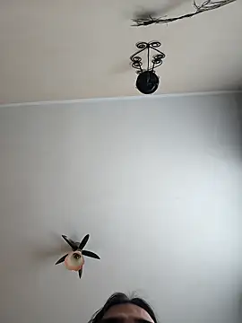 vulpe8400 online show from 19, 4, 2026