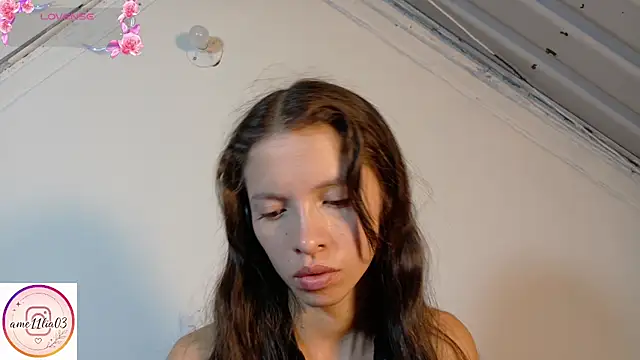 Snapshot of sweetdam12 chatting on 3, 6, 2026 sweetdam12 online show from 3, 6, 2026