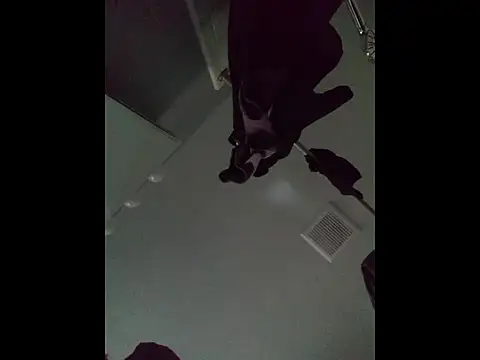 DevinToore online show from 5, 4, 2026