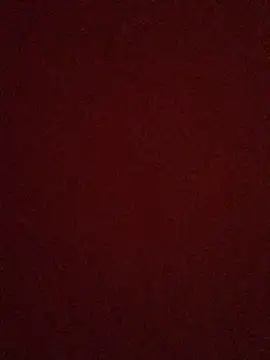 Snapshot of rosaditapussy chatting on 9, 9, 2025 rosaditapussy online show from 9, 9, 2025