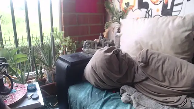 roystonee01 online show from 8, 11, 2025