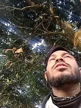 arafat mia online show from 6, 2, 2026