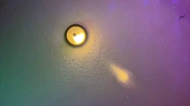 Dani Dragon69 online show from 14, 2, 2025