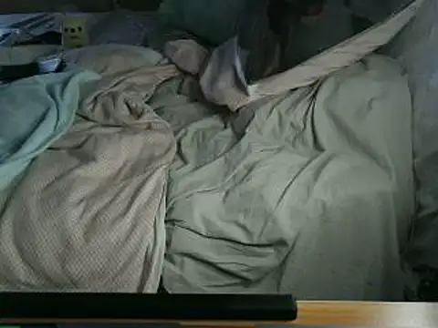 VeneRed online show from 3, 4, 2026