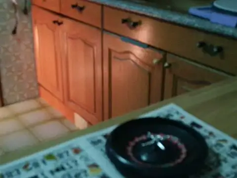 Snapshot of VeneRed chatting on 19, 11, 2025 VeneRed online show from 19, 11, 2025