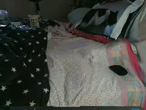 VeneRed online show from 26, 3, 2026