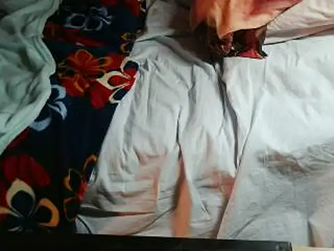 VeneRed online show from 18, 4, 2026