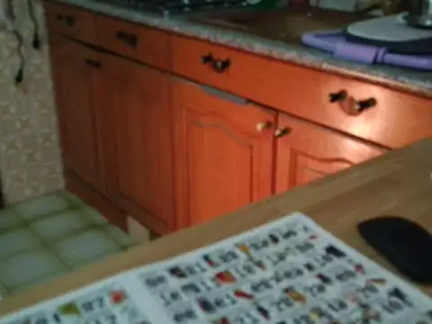 Snapshot of VeneRed chatting on 17, 11, 2025 VeneRed online show from 17, 11, 2025