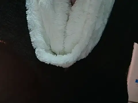 VeneRed online show from 31, 3, 2026