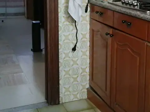 Snapshot of VeneRed chatting on 14, 10, 2025 VeneRed online show from 14, 10, 2025