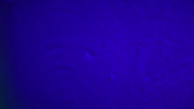 GymBoyVan online show from 4, 2, 2026