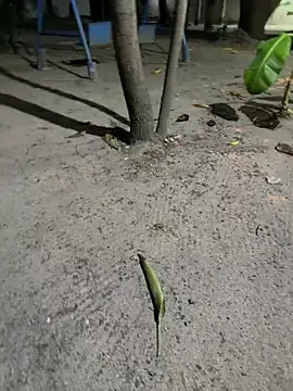 Erick-90 online show from 21, 2, 2026