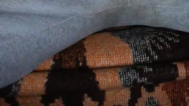 loverboyxxx69 online show from 19, 3, 2026