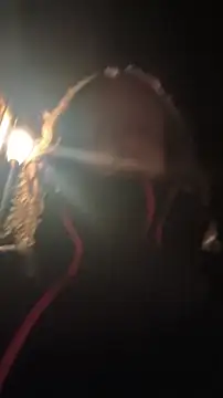 DrownMentallyyy online show from 5, 4, 2026