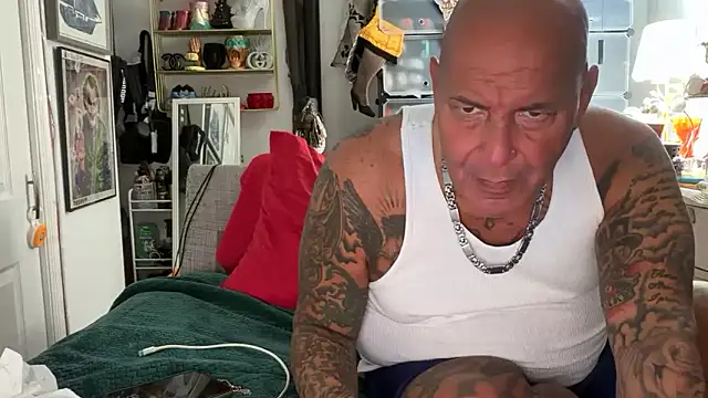 joeytatts66 online show from 15, 11, 2025