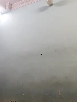 Sania-Love online show from 1, 2, 2026