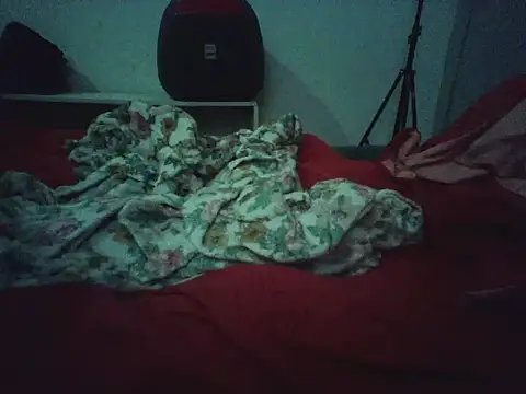 Snapshot of novilho18piroc chatting on 25, 5, 2026 novilho18piroc online show from 25, 5, 2026