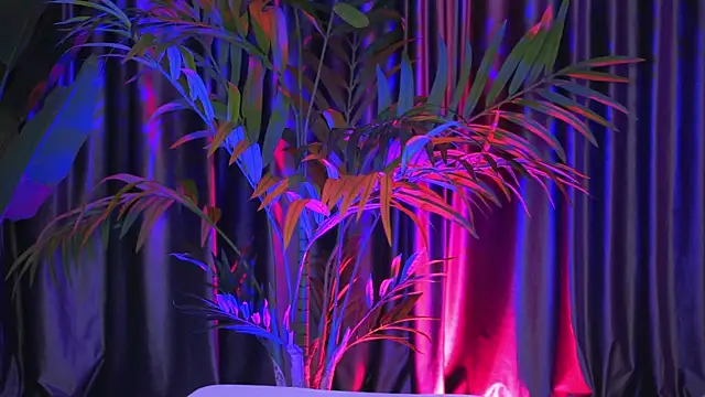 LaraSin online show from 30, 12, 2024