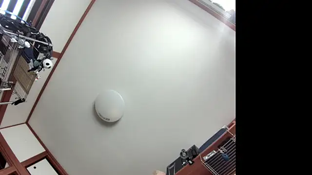 tuki fu online show from 8, 12, 2024