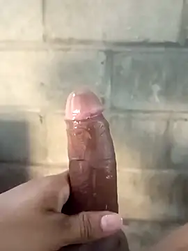 ga213333 online show from 11, 2, 2026