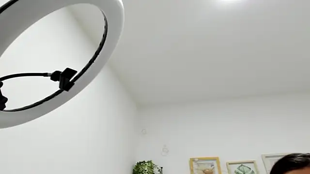 megan 29 online show from 21, 4, 2026