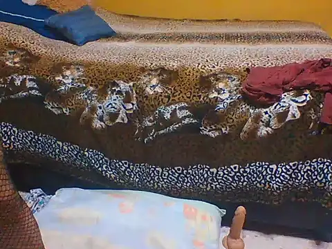 TheDoggyAss online show from 17, 12, 2024