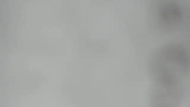 elis gabbi online show from 28, 2, 2026