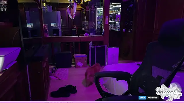 bearcloudcomputa online show from 1, 3, 2026