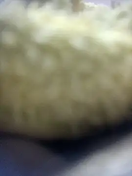 jeremiabello online show from 11, 4, 2026