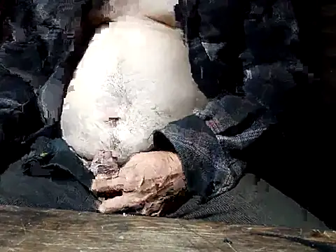 tus ordenes mis deseos online show from 7, 4, 2026