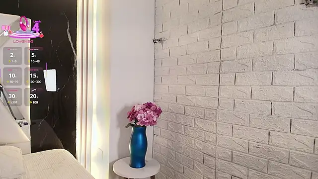 Snapshot of Valery_wang chatting on 2, 3, 2025 Valery wang online show from 2, 3, 2025