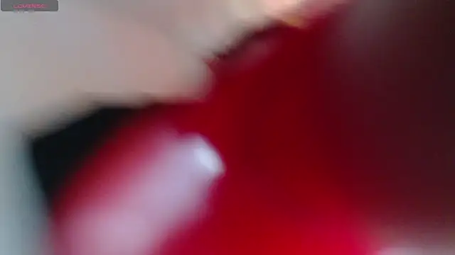 Electra sx online show from 3, 1, 2025