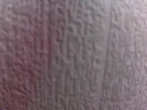 culalimer online show from 29, 3, 2026