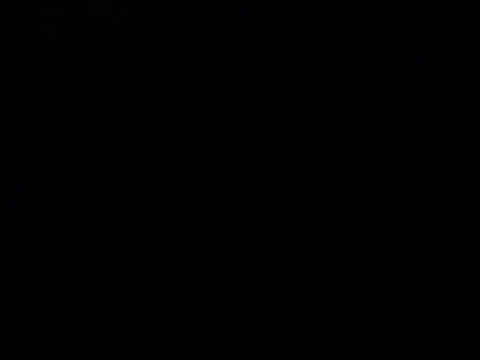 culalimer online show from 9, 9, 2025