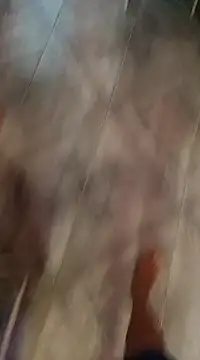 1995eduardo online show from 21, 2, 2025