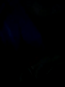 Leocesar37 online show from 3, 4, 2026