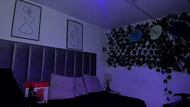 Kitty Gang online show from 7, 7, 2026