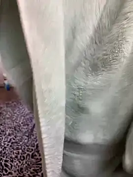 Mingtian4117 online show from 14, 1, 2026