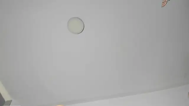 meikochoe online show from 4, 11, 2025