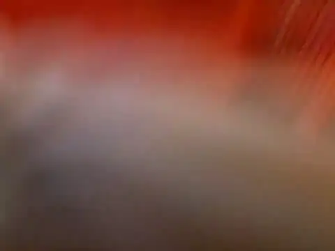 Lexxstacy online show from 13, 7, 2026