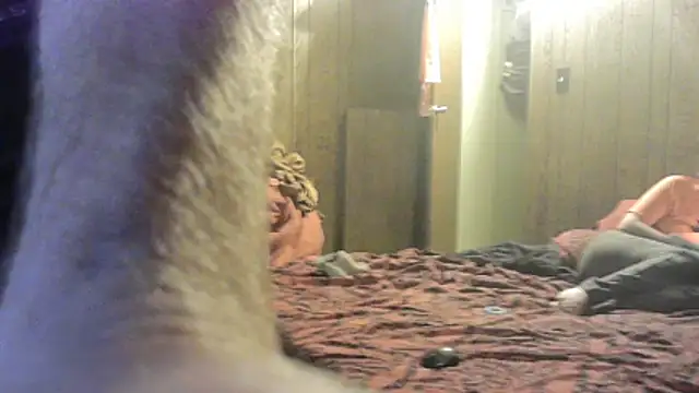 dcockell online show from 19, 2, 2026