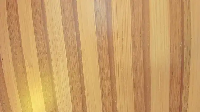 Taylor  cooper online show from 7, 2, 2026