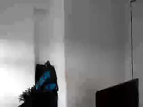 Mastertopdome online show from 7, 3, 2026