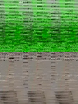 Shanaya Hotty online show from 29, 10, 2025