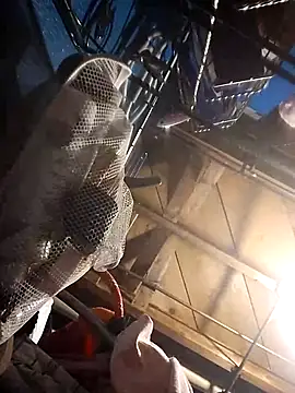 Whipit323 online show from 22, 12, 2024