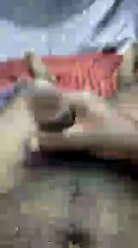 mallucallboy2104 online show from 13, 12, 2024