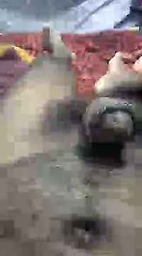 mallucallboy2104 online show from 6, 1, 2025