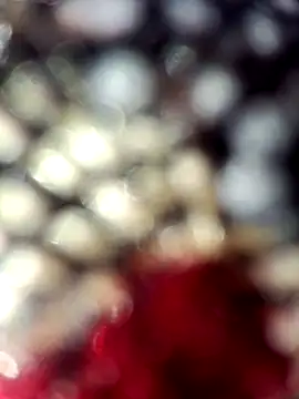 nidansohib1230 online show from 12, 4, 2026