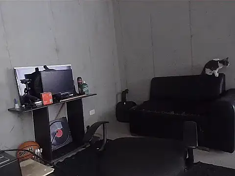 patrik tattoo  online show from 7, 4, 2026