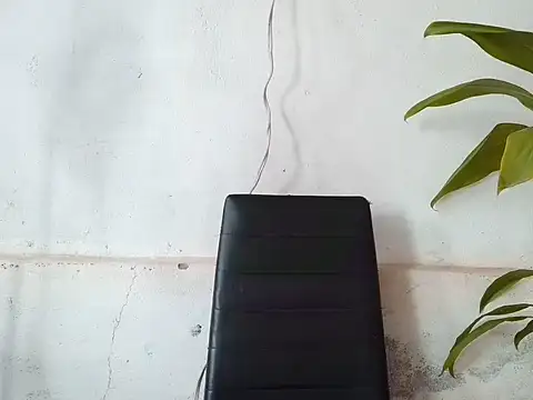 bellacrespalatina online show from 3, 4, 2026